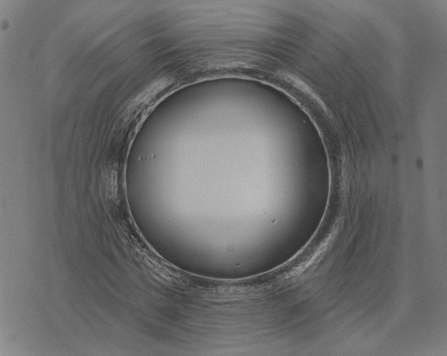 X0000074260777200609081735