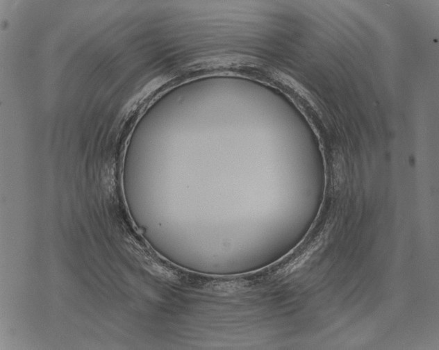 X0000074260778200609081735