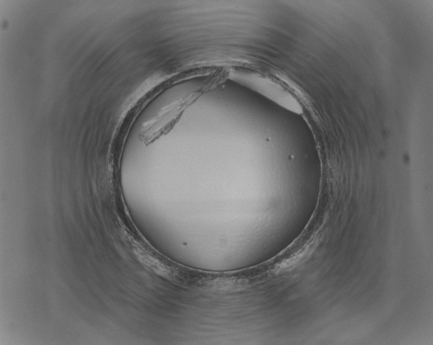 X0000074260779200609081735