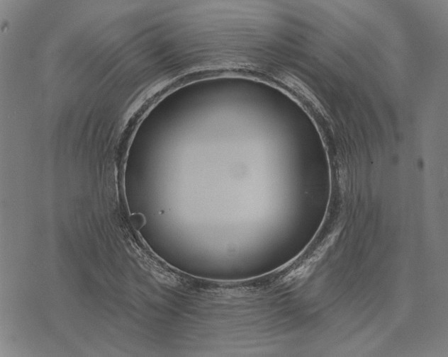 X0000074260781200609081735