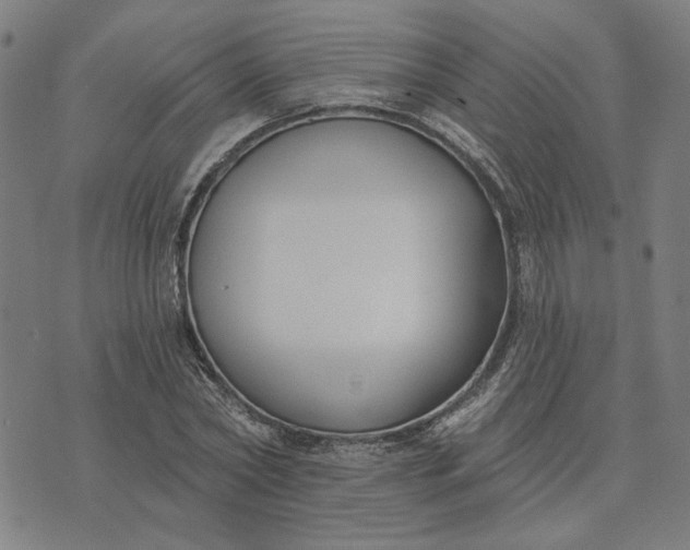 X0000074260782200609081735