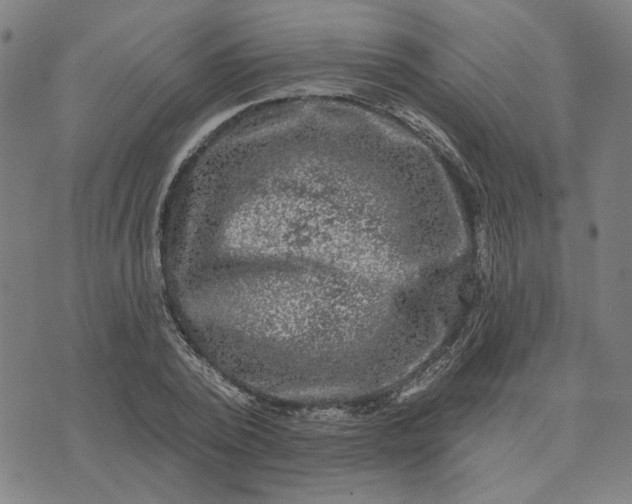 X0000074260784200609081735