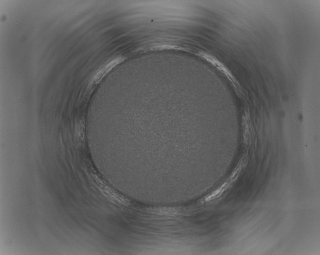 X0000074260785200609081735