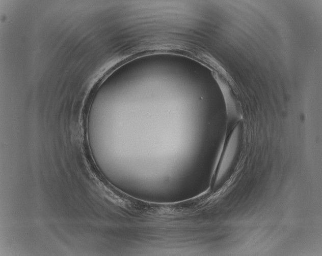 X0000074260787200609081735