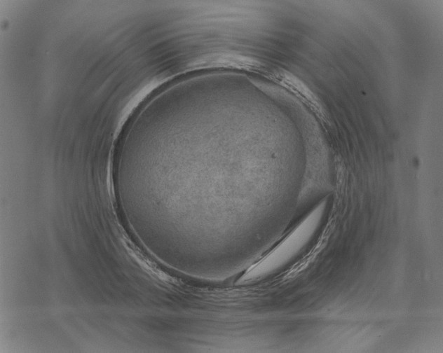 X0000074260788200609081735