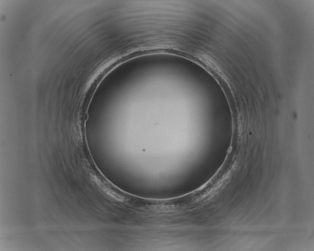 X0000074260789200609081735