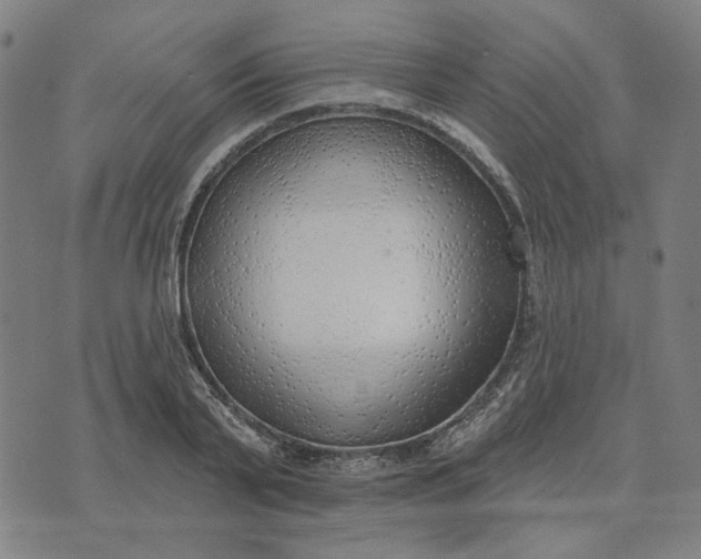 X0000074260791200609081735