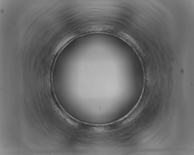 X0000074260794200609081735