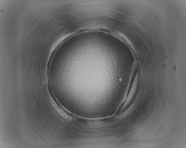 X0000074260795200609081735