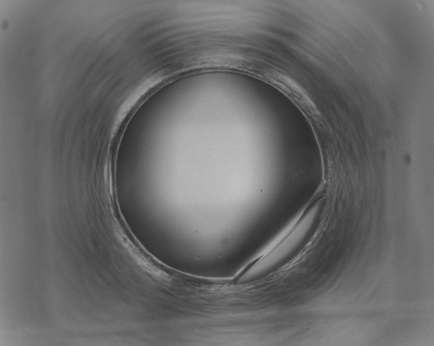 X0000074260796200609081735