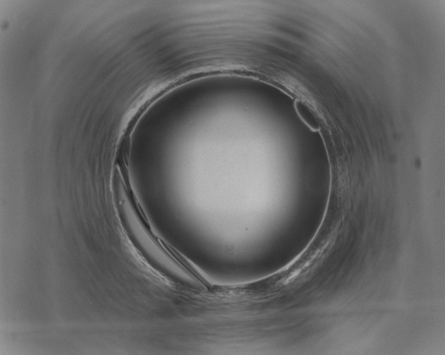 X0000074260797200609081735