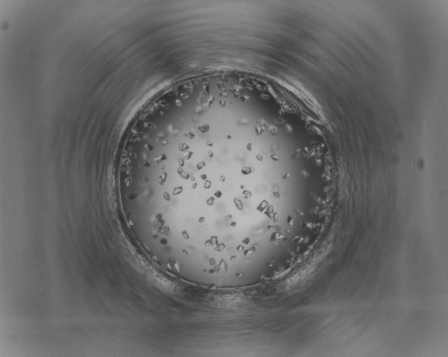 X0000074260798200609081735