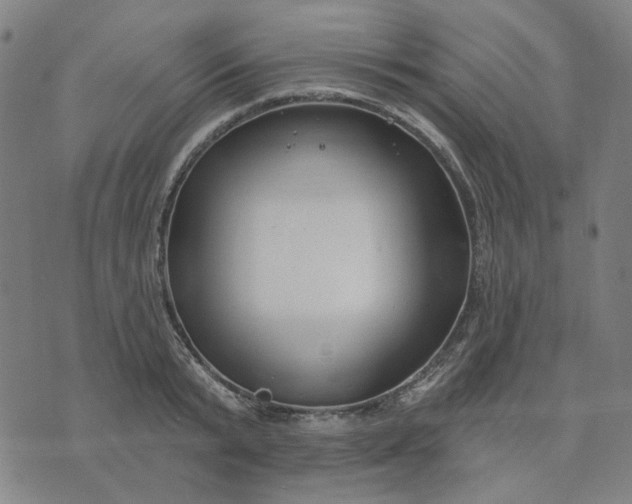 X0000074260799200609081735