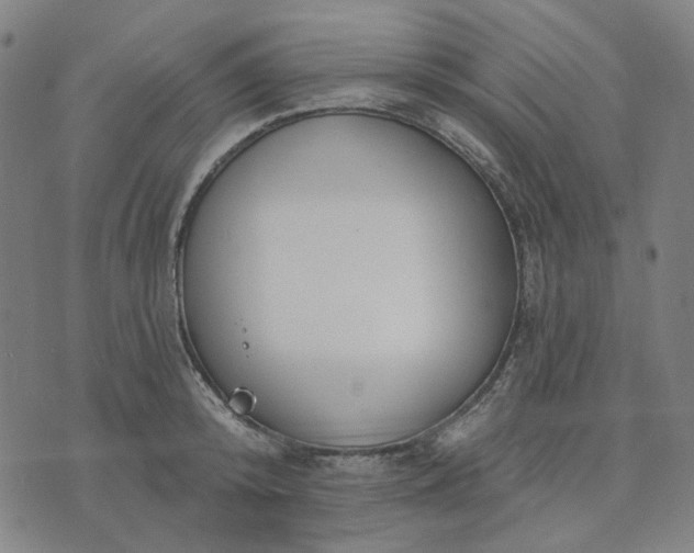 X0000074260800200609081735