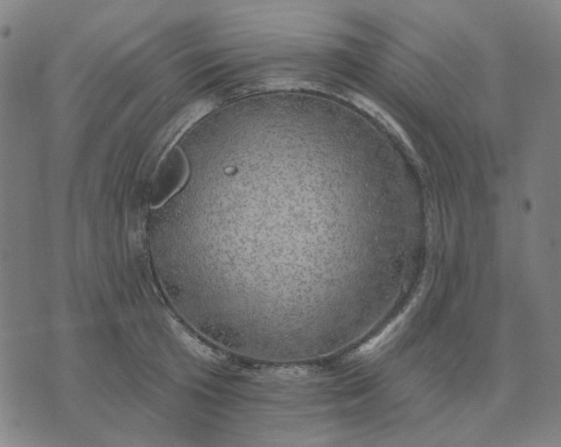 X0000074260801200609081735