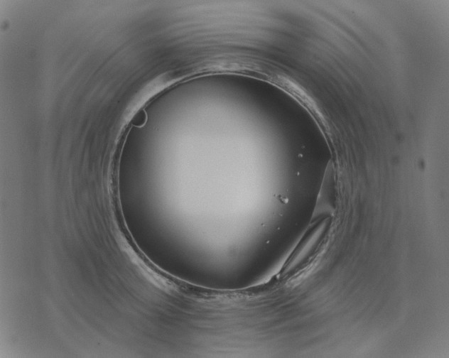 X0000074260803200609081735