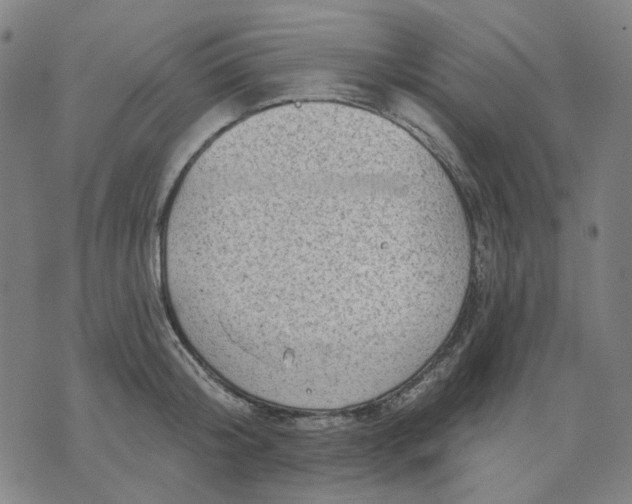 X0000074260804200609081735