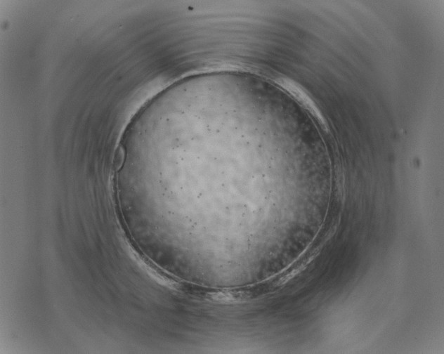 X0000074260805200609081735