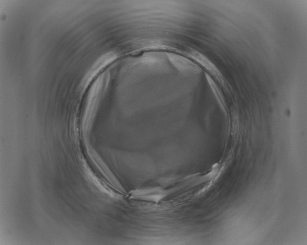 X0000074260806200609081735