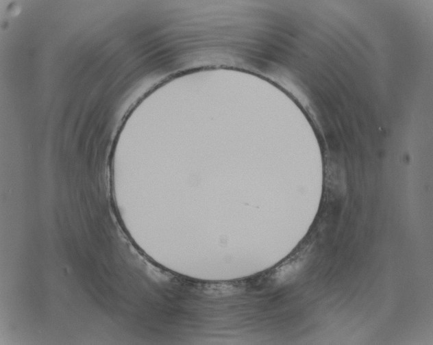 X0000074260807200609081735