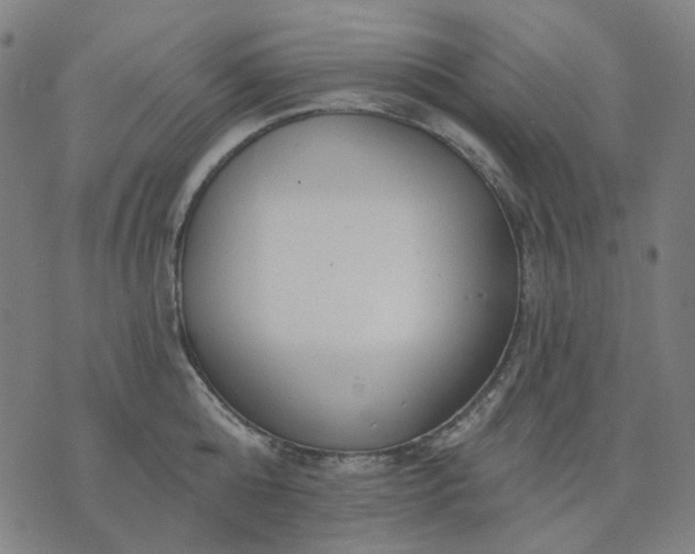 X0000074260808200609081735