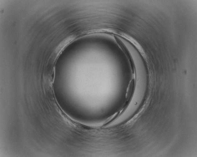 X0000074260809200609081735