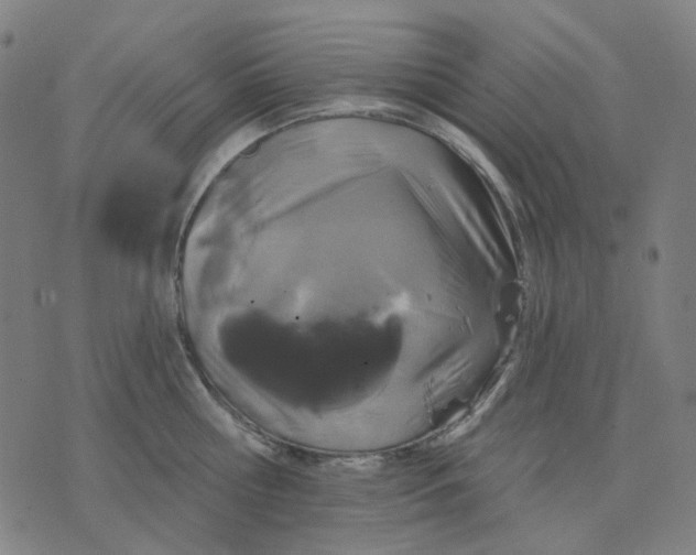 X0000074260810200609081735