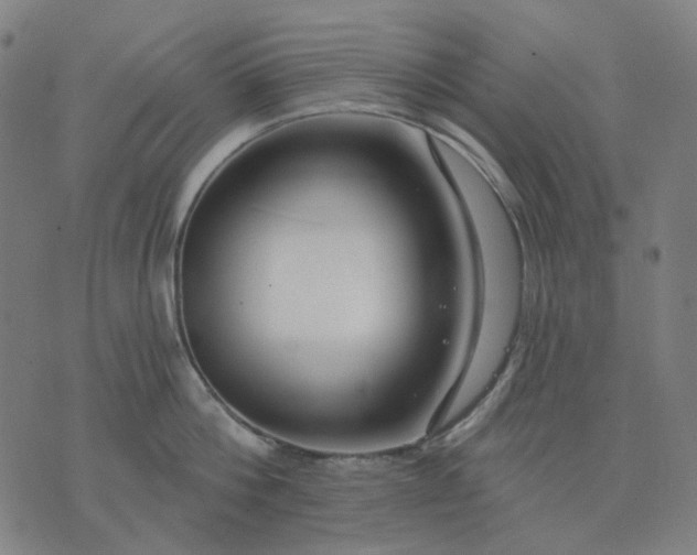 X0000074260812200609081735