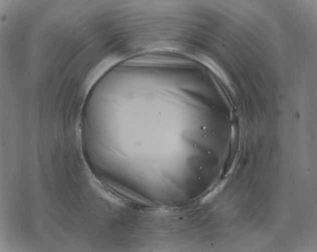 X0000074260814200609081735