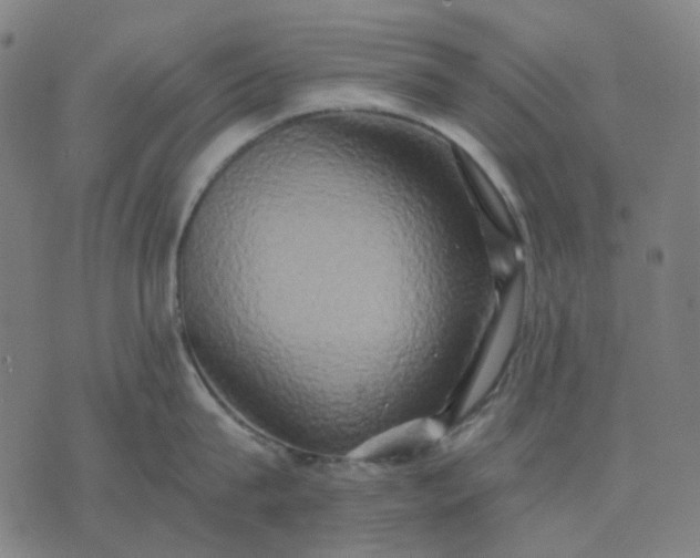 X0000074260815200609081735