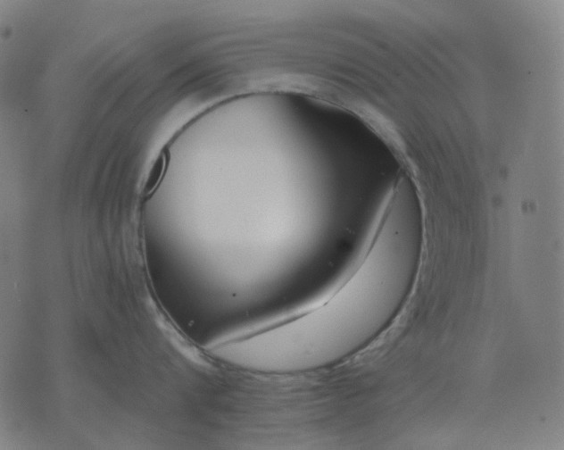 X0000074260816200609081734