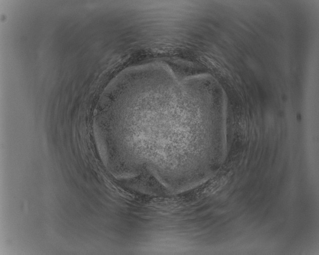 X0000074260817200609081734