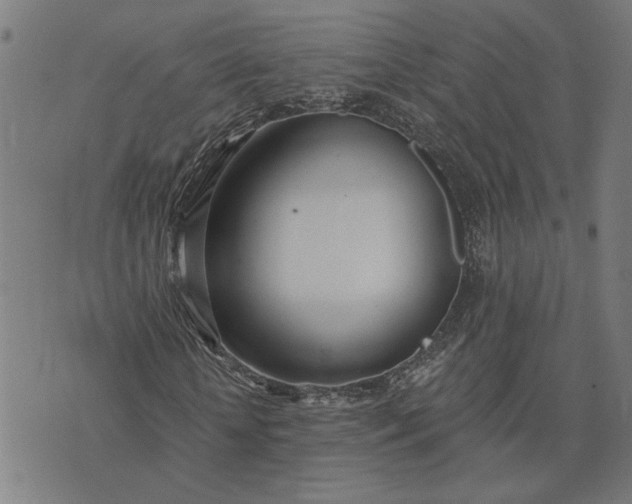 X0000074260818200609081734