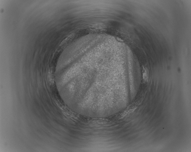 X0000074260819200609081734