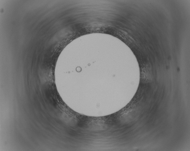 X0000074260820200609081734