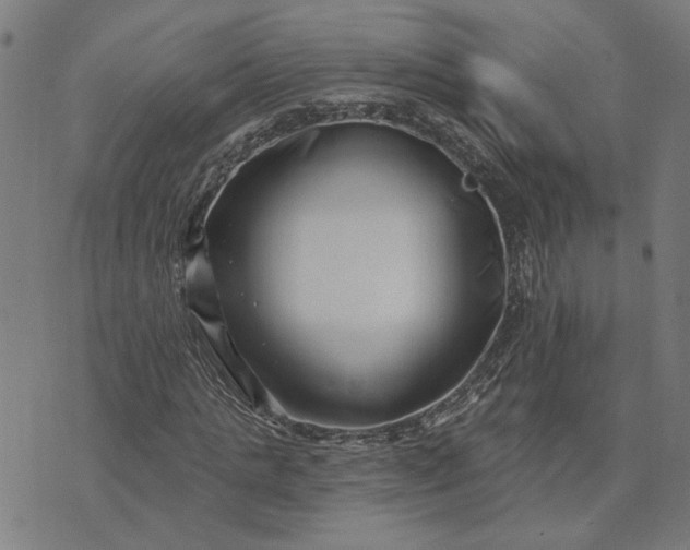 X0000074260821200609081734