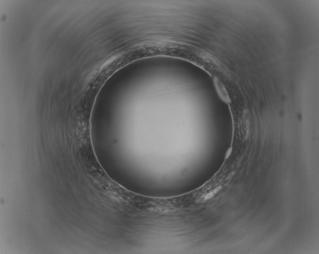 X0000074260822200609081734