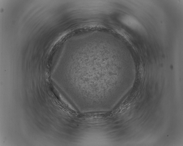 X0000074260823200609081734