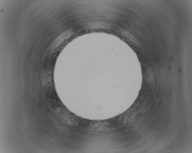 X0000074260824200609081734