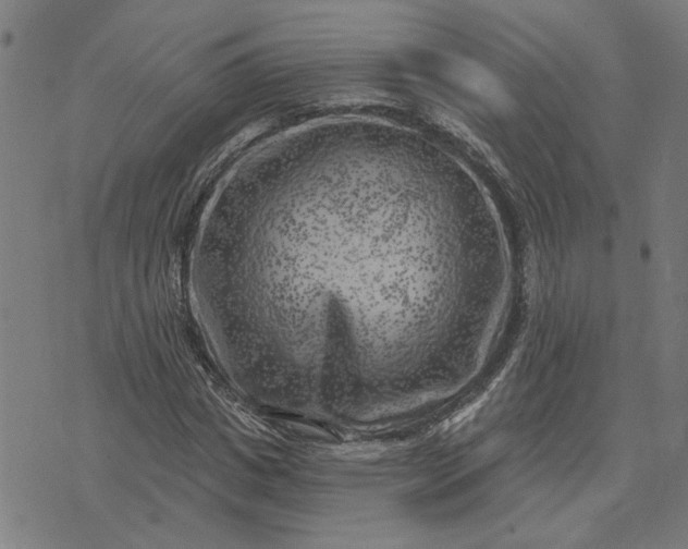 X0000074260825200609081734