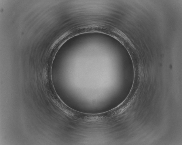 X0000074260826200609081734