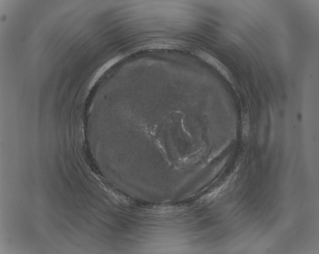 X0000074260829200609081734