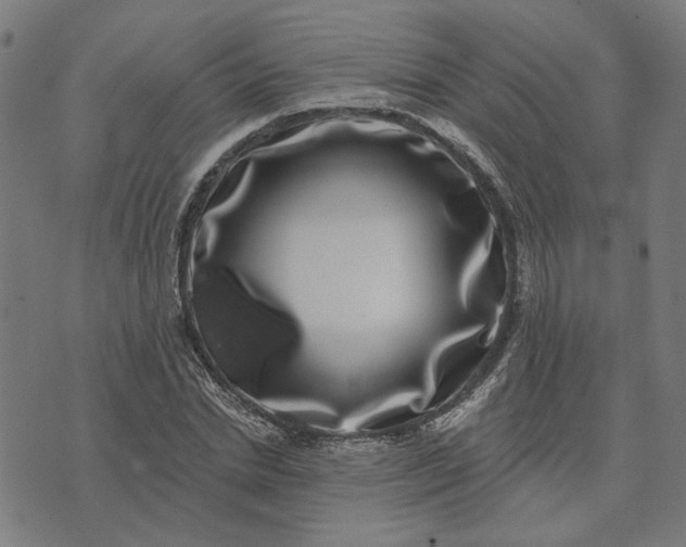 X0000074260830200609081734