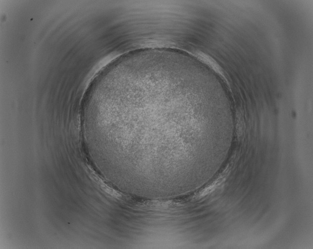 X0000074260831200609081734