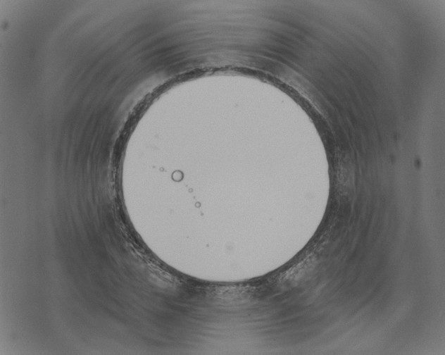 X0000074260832200609081734