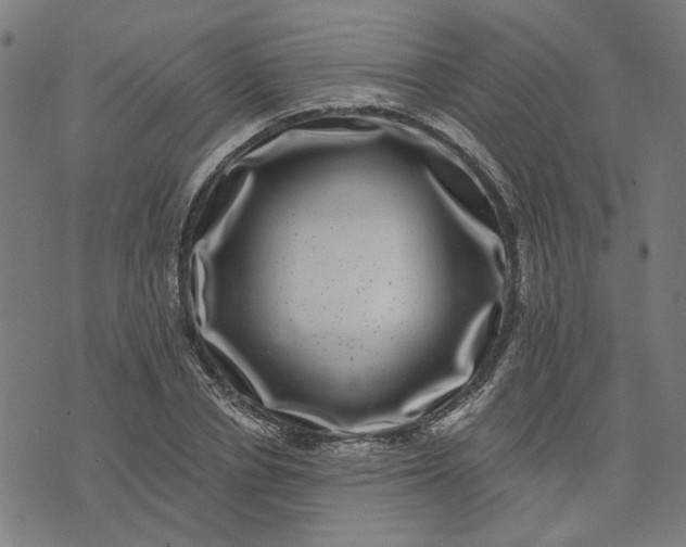 X0000074260834200609081734