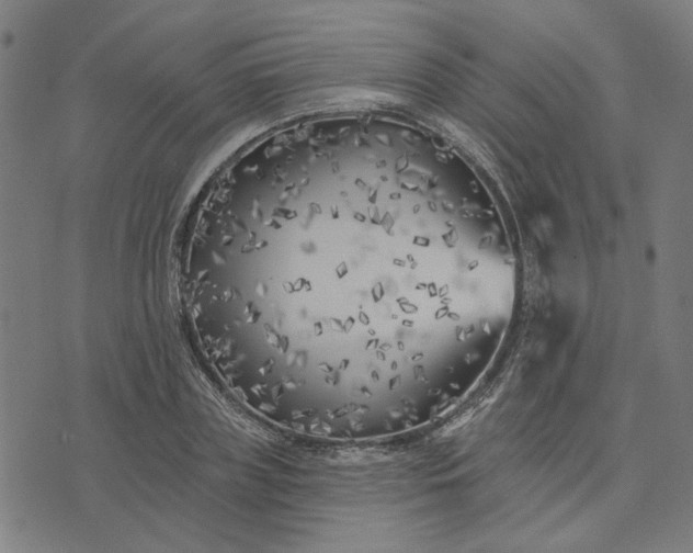 X0000074260835200609081734