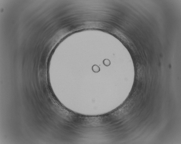 X0000074260836200609081734