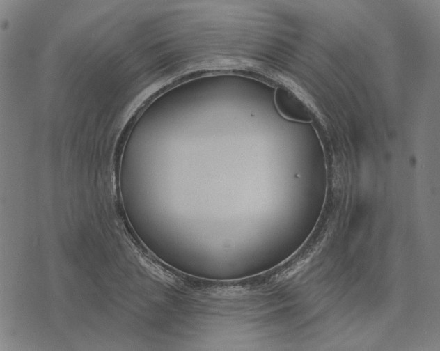 X0000074260837200609081734