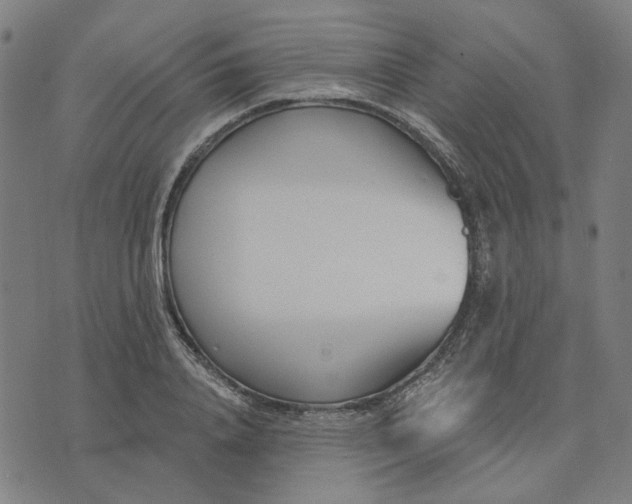 X0000074260840200609081734